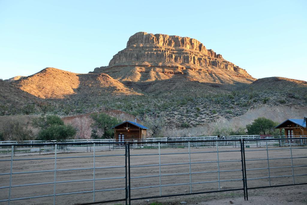 Grand Canyon Western Ranch Meadview Dış mekan fotoğraf