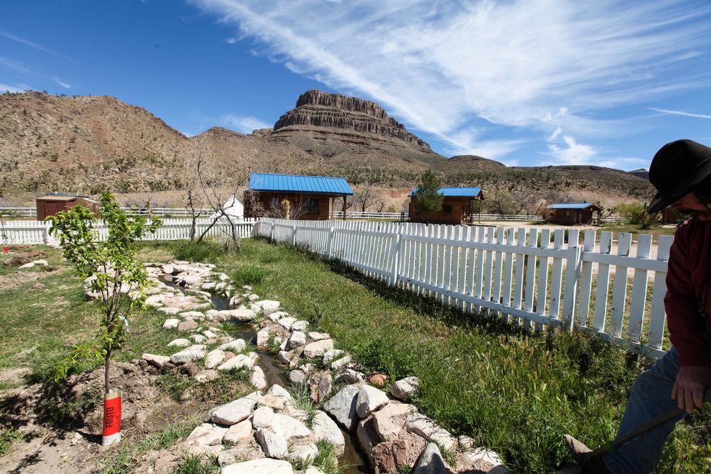 Grand Canyon Western Ranch Meadview Dış mekan fotoğraf