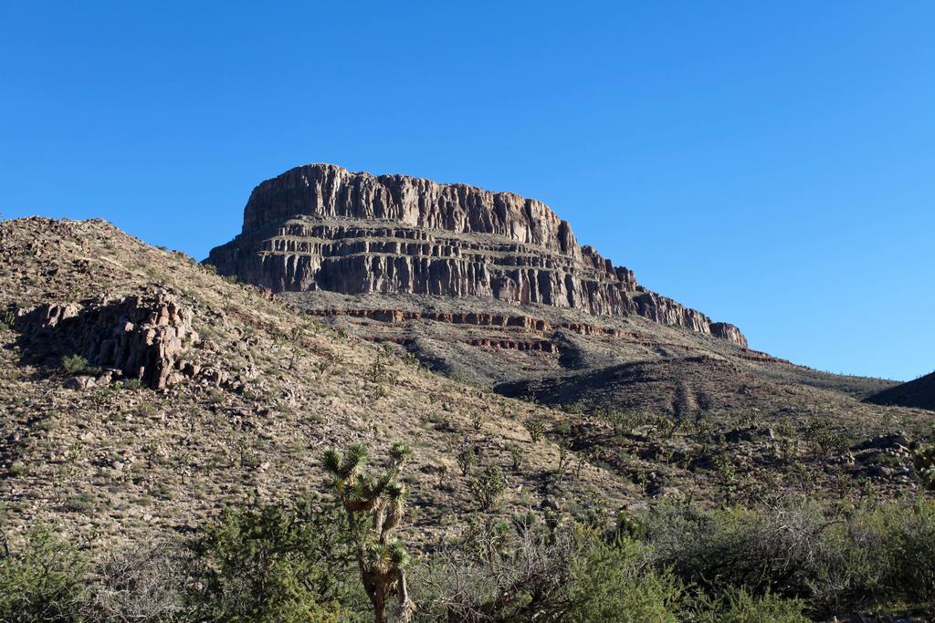 Grand Canyon Western Ranch Meadview Dış mekan fotoğraf