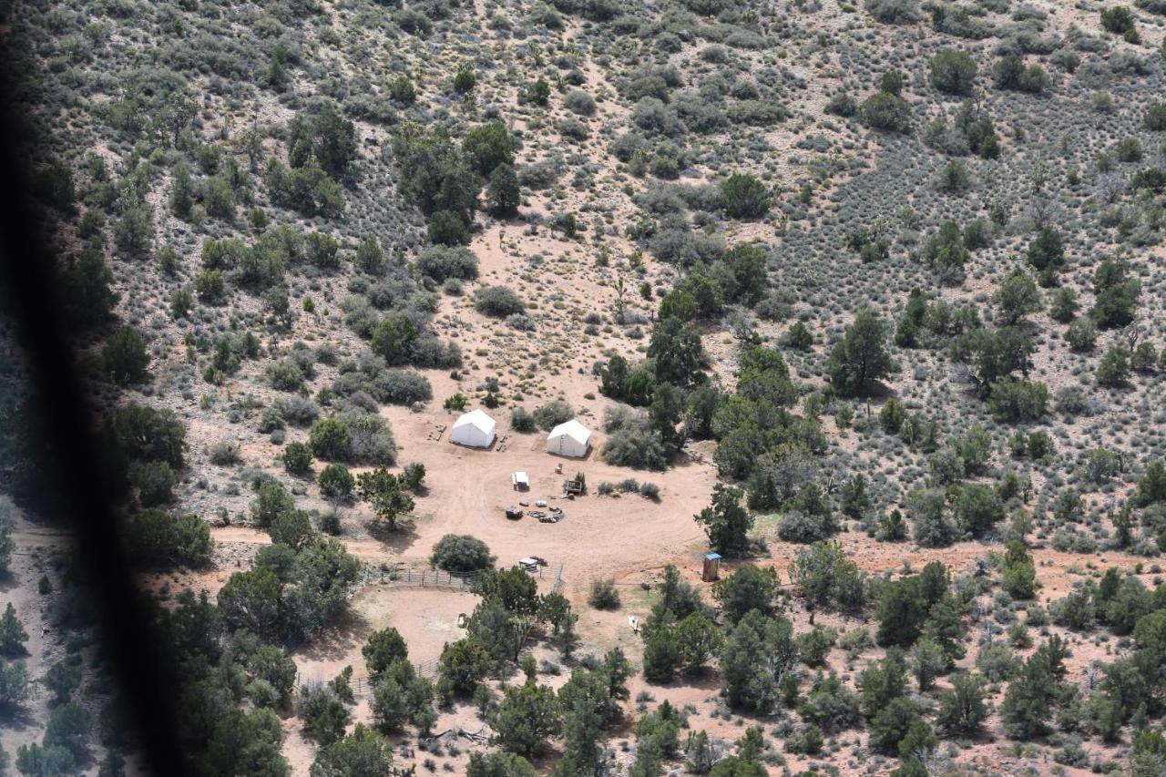 Grand Canyon Western Ranch Meadview Dış mekan fotoğraf